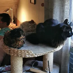 Gästewohnung Am Obstgarten Apartment